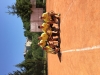 IMG-4720